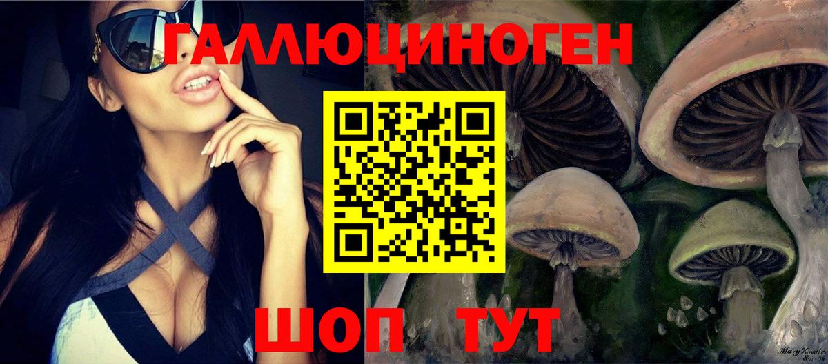 Бузулук  Галлюциногенные грибы MAGIC MUSHROOMS  Вход с VPN 